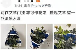 拉希德-华莱士：比尔-沃顿整个生涯都是运气好 他就是个普通球员